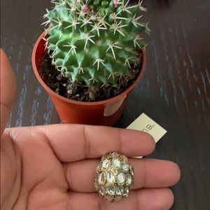 Arden B Fun Fashion Ring Sz. 8